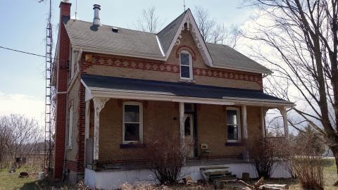 The Love of Horses April '20 - DSC07589.JPG