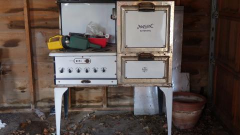 The Love of Horses April '20 - DSC07600.JPG