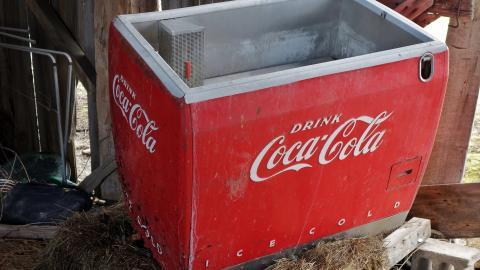 The Love of Horses April '20 - DSC07603.JPG