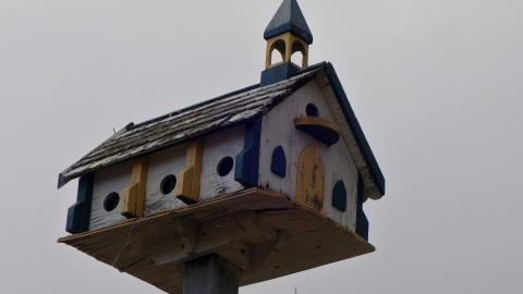 The Love of Horses April '20 - DSC07609.JPG