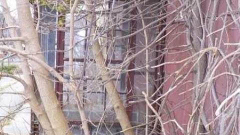 yellow house - Zoned-for-120007.jpg