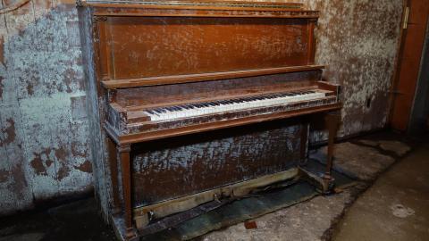 Hooligans April '20 - DSC07723.JPG