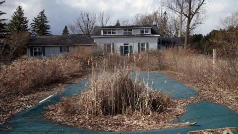 Hooligans April '20 - DSC07737.JPG