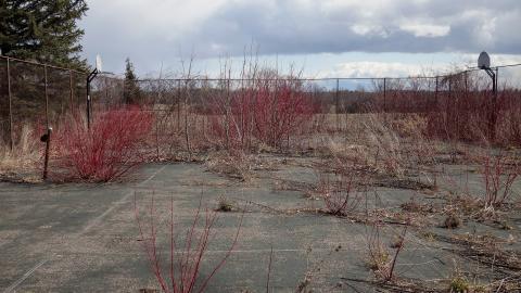 Hooligans April '20 - DSC07743.JPG