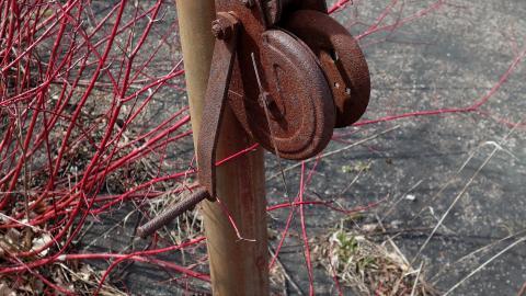 Hooligans April '20 - DSC07748.JPG