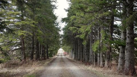 Hooligans April '20 - DSC07769.JPG