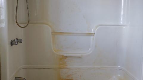 Hooligans April '20 - DSC07686.JPG