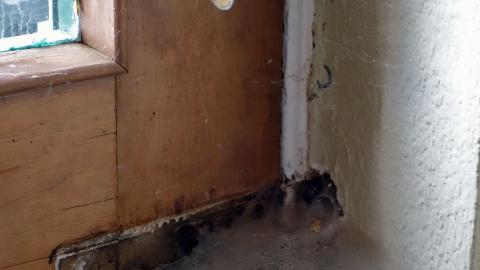 Hooligans April '20 - DSC07694.JPG