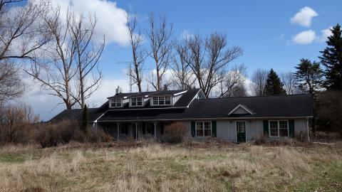 Hooligans April '20 - DSC07618.JPG