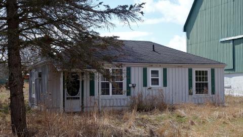 Hooligans April '20 - DSC07619.JPG