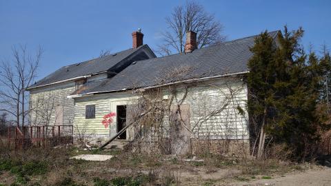 Gojo April '20 - DSC08652.JPG