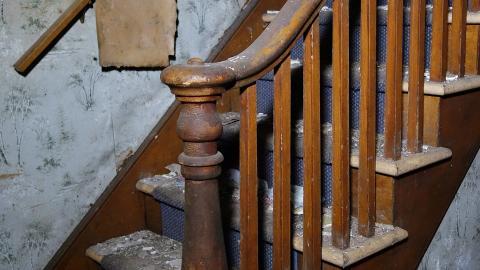 Gojo April '20 - DSC08600.JPG