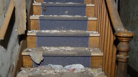 Gojo April '20 - DSC08605.JPG