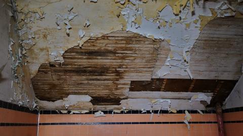 Photo from Gojo April '20