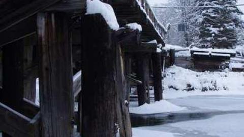 Repurposed CN trestle - 2-Railway-Bridges-in-Coldwater15.jpg