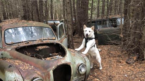 Auto Wreckers - Auto Wreckers (1)-min.JPG