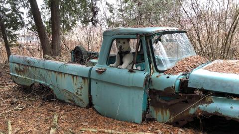 Photo from Auto Wreckers