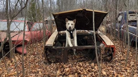 Auto Wreckers - Auto Wreckers (3)-min.JPG