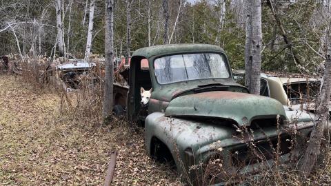 Auto Wreckers - Auto Wreckers (4)-min.JPG