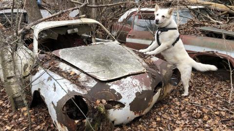 Auto Wreckers - Auto Wreckers (7)-min.JPG