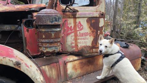 Auto Wreckers - Auto Wreckers (8)-min.JPG