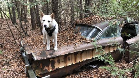 Auto Wreckers - Auto Wreckers (9)-min.JPG