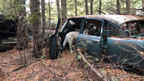 Auto Wreckers - Auto Wreckers (13)-min.JPG