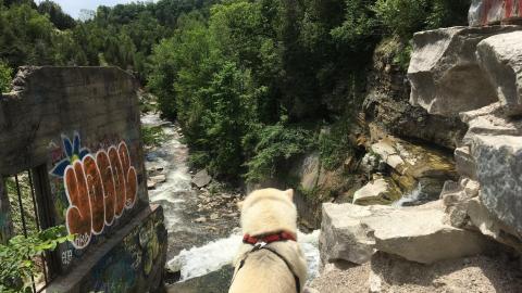 Church's Falls Old Mill - FOTC 03-min.JPG