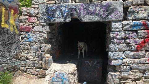 Church's Falls Old Mill - FOTC 04-min.JPG