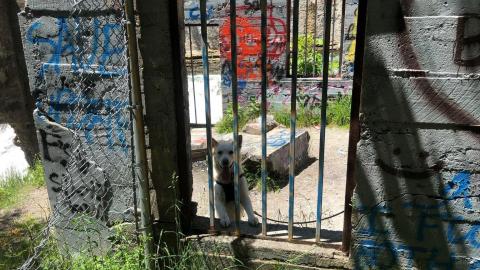 Photo from Church's Falls Old Mill