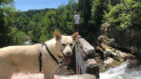 Church's Falls Old Mill - FOTC 06-min.JPG