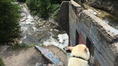 Church's Falls Old Mill - FOTC 07-min.JPG