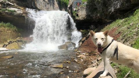 Church's Falls Old Mill - FOTC 13-min.JPG