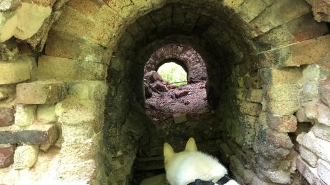 Photo from Lime Kilns ruins.