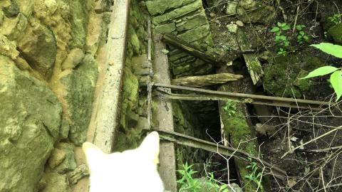 Photo from Lime Kilns ruins.