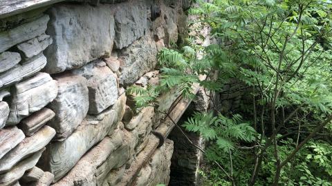 Photo from Lime Kilns ruins.