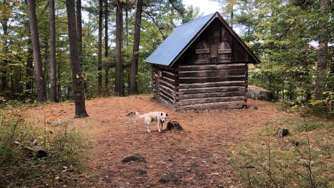 Rock Dunder Log Cabins - Dunder 01a.JPG