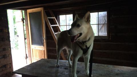 Rock Dunder Log Cabins - Dunder 08.JPG