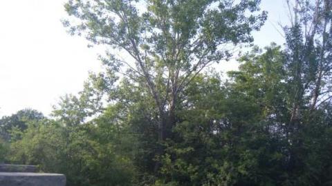 thorold bike path - Thorold-Canal-Trail5.jpg