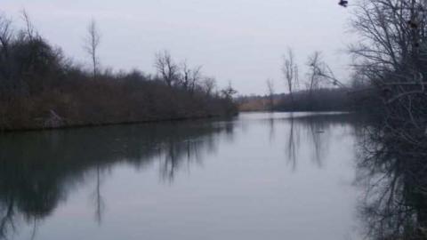 Photo from thorold bike path