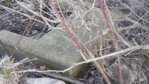 thorold bike path - Thorold-Canal-Trail15.jpg