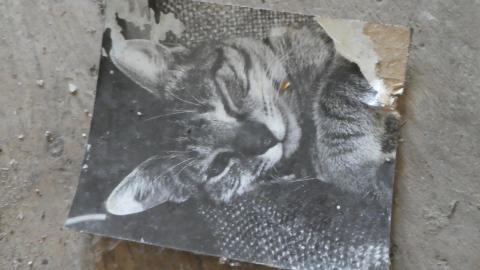 Baldwin House - P1040107.JPG