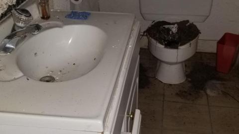 Pray they dont know - 20201128_195753.jpg