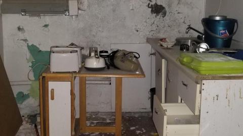 Not for long photo 3