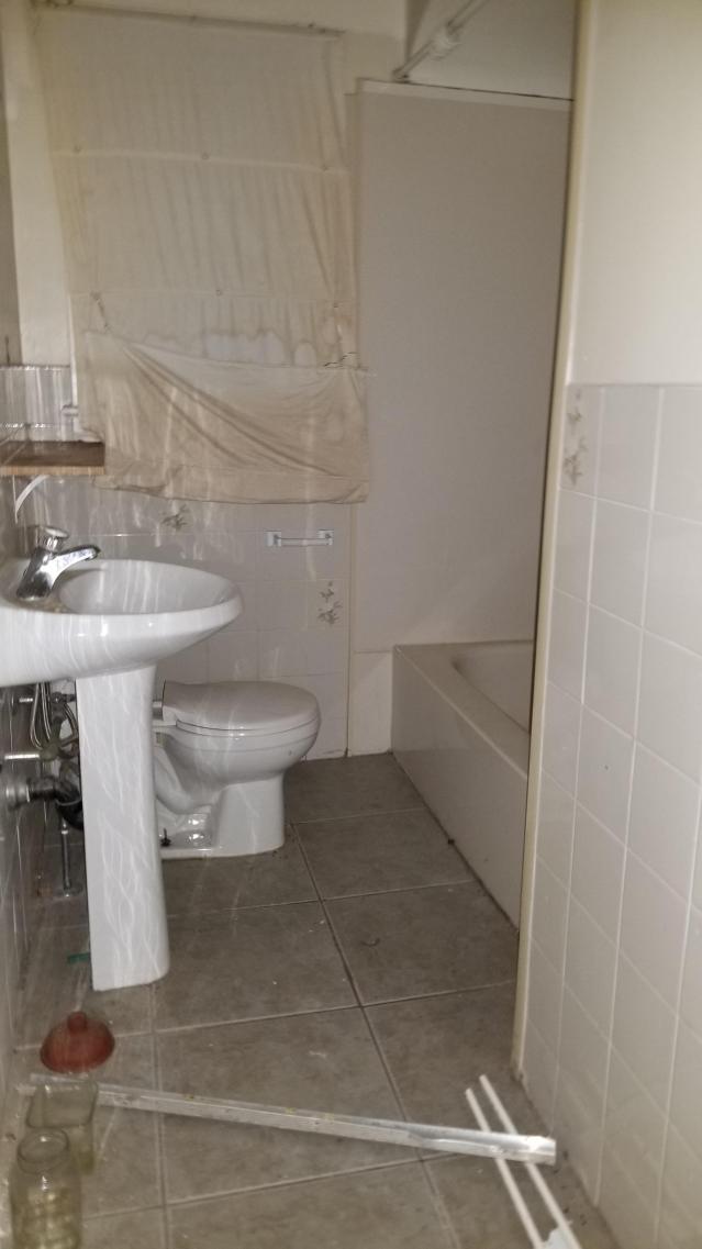 Not for long photo 4