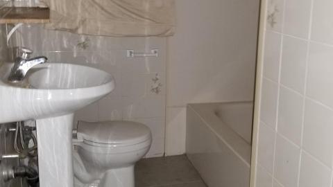 Not for long photo 4