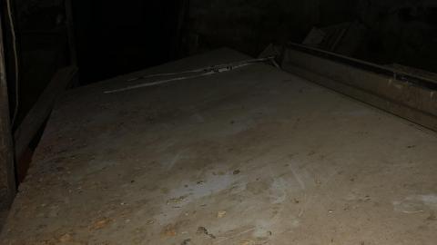 Big Red November 2020 - IMG_1293.JPG