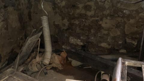 Big Red November 2020 - IMG_1294.JPG