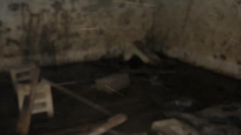 Big Red November 2020 - IMG_1299.JPG