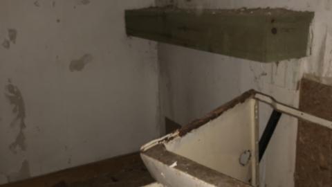 Photo from Big Red November 2020